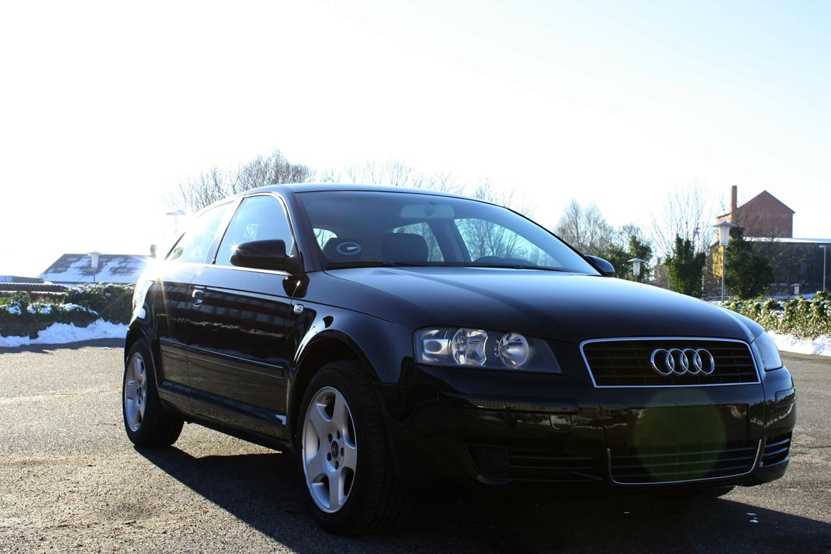 Audi A3 8P billede 8