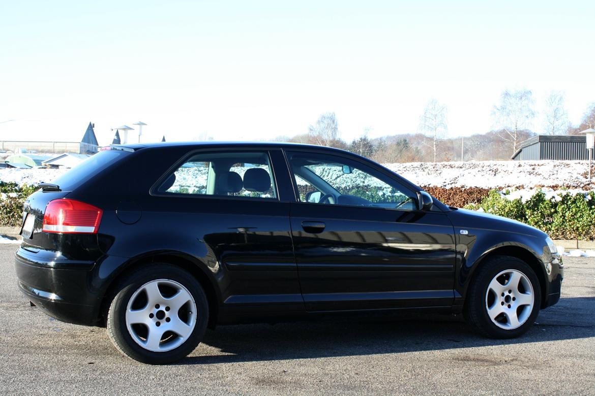 Audi A3 8P billede 7
