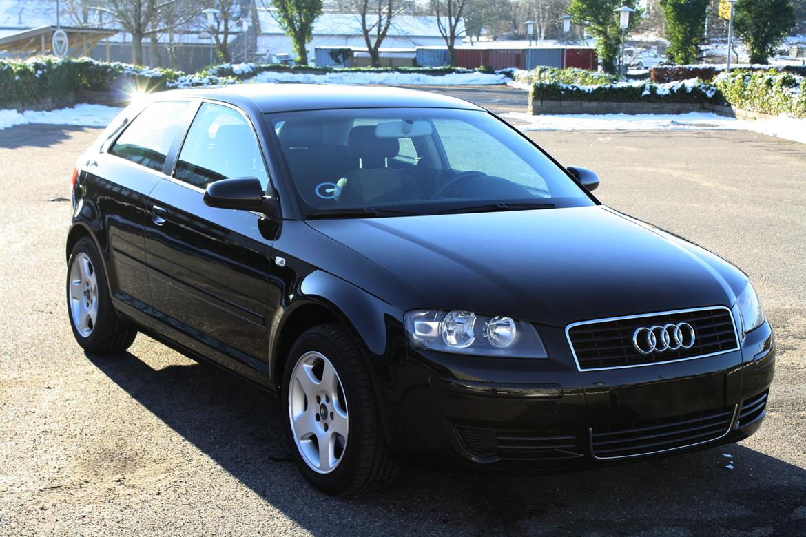 Audi A3 8P billede 9