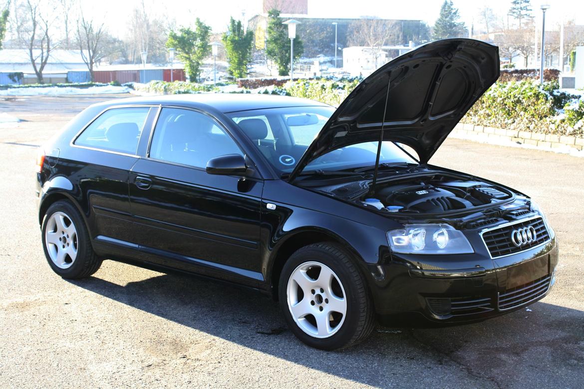 Audi A3 8P billede 11