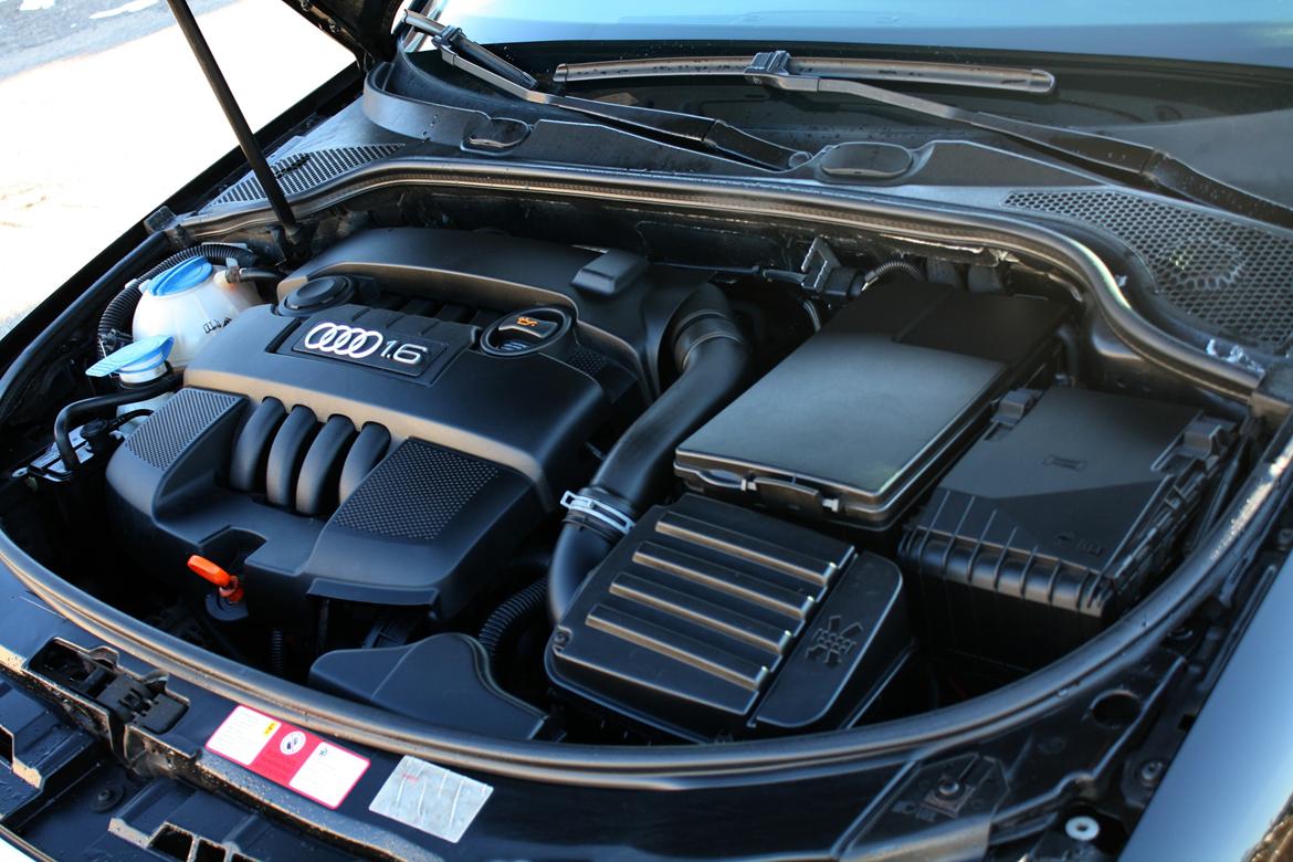 Audi A3 8P billede 12