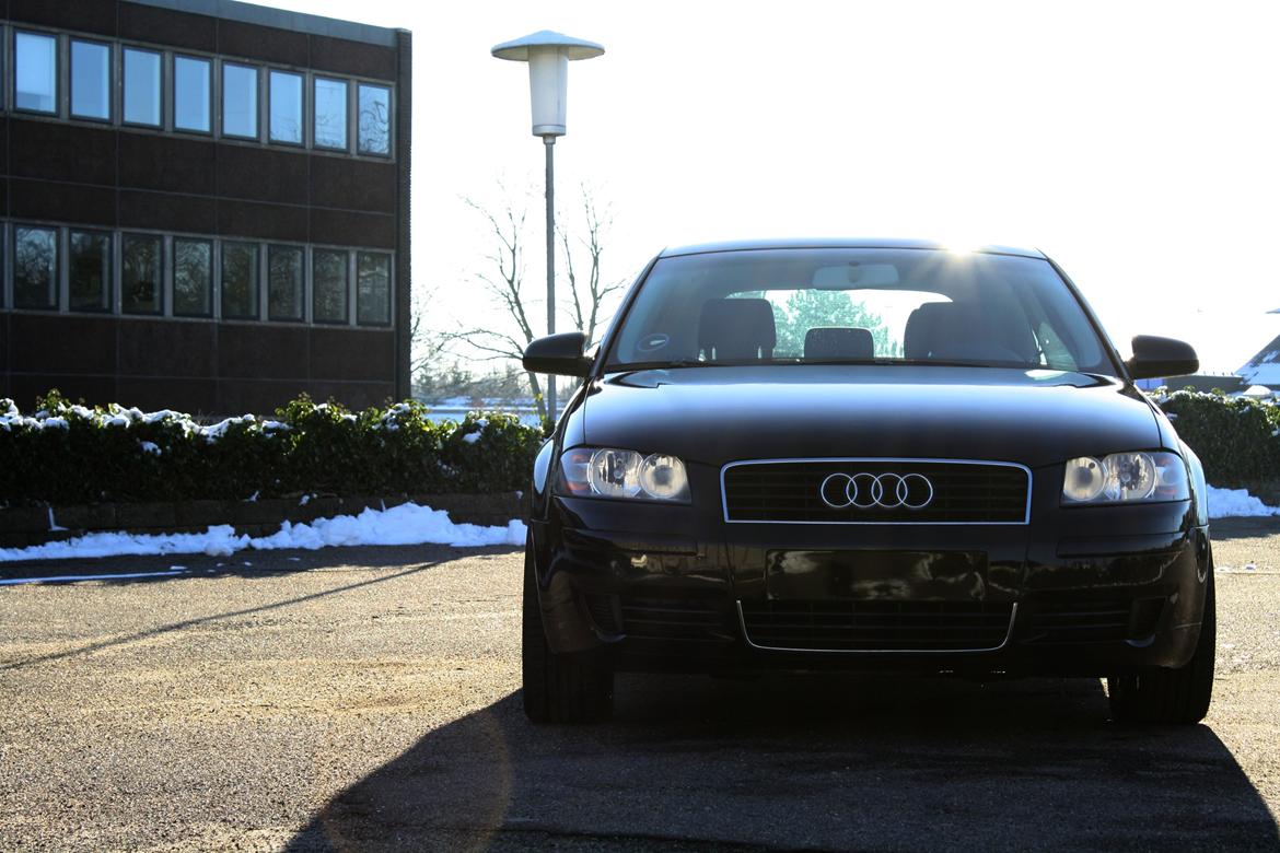 Audi A3 8P billede 10
