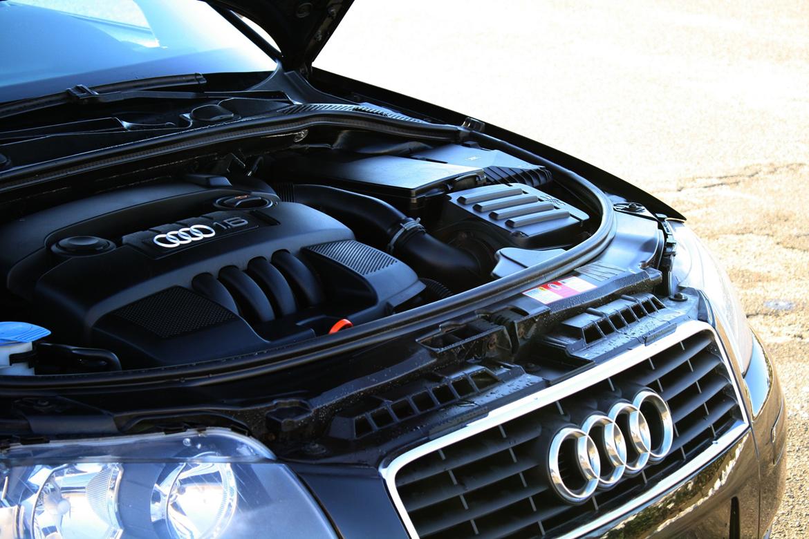 Audi A3 8P billede 13