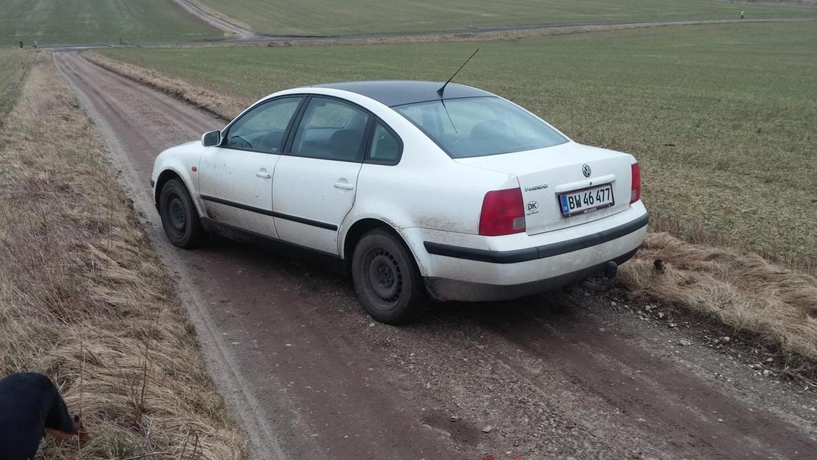 VW Passat 3B limousine billede 3