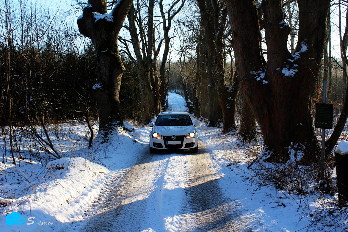 VW VW Golf GT Sport 1,4 TSI ( Før )   billede 9