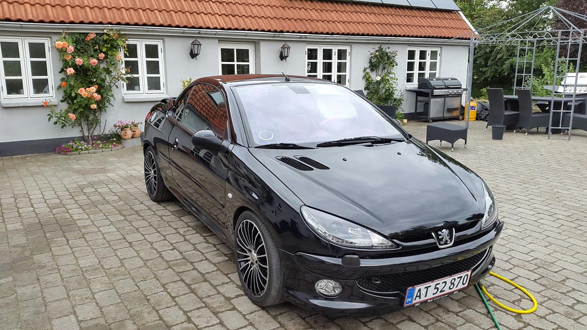 Peugeot 206 2,0 s16 136hk cc GTI. billede 4