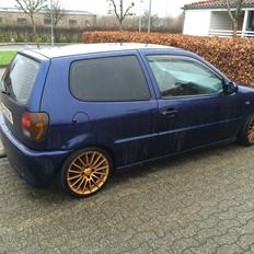 VW Polo 6n
