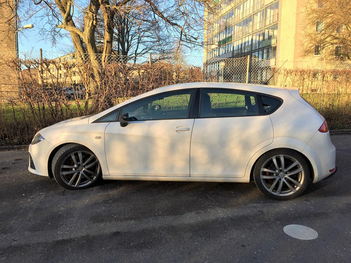 Seat Leon Cupra billede 1