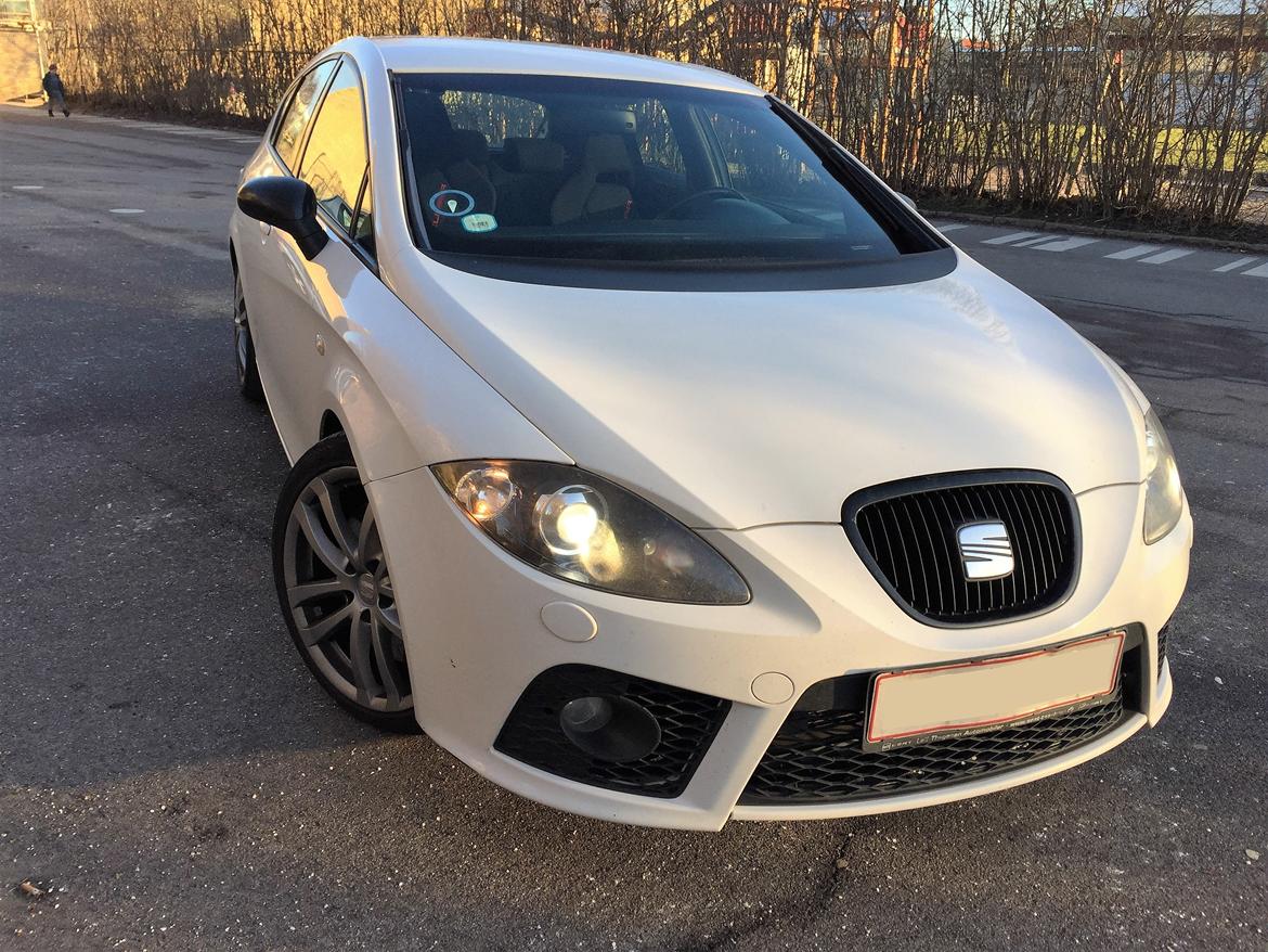 Seat Leon Cupra billede 5