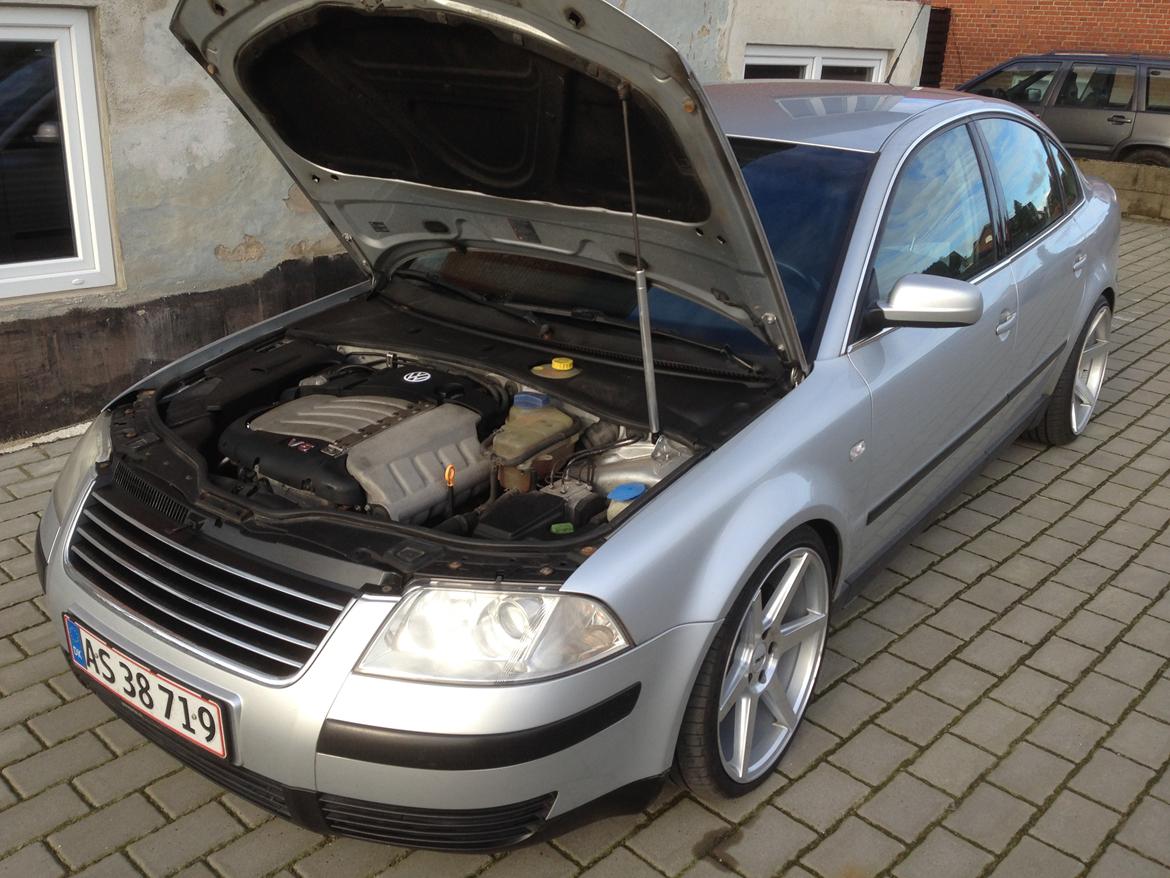 VW Passat 3BG-V5 billede 6