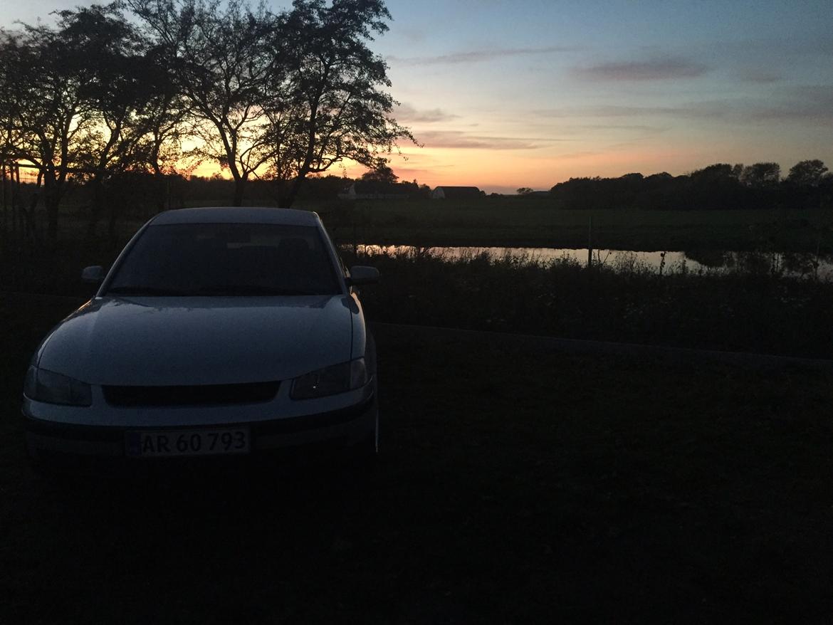 VW Passat 3b2 Limousine billede 8