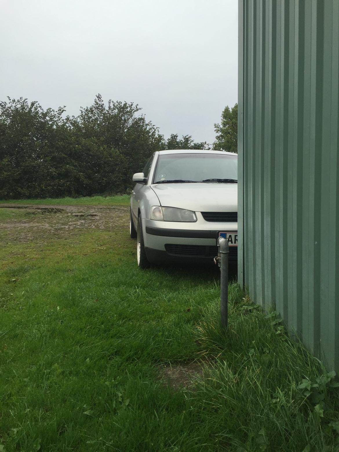 VW Passat 3b2 Limousine billede 9