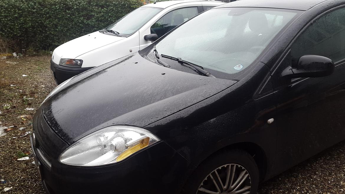 Fiat Punto 1,2 3D hatch - Farvel lille punto - Goddag bravo 17.10.2015 billede 16