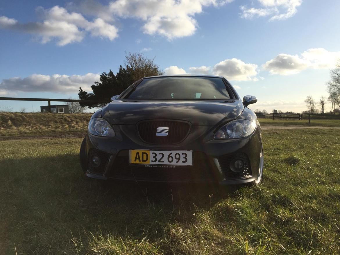 Seat Leon Cupra billede 2