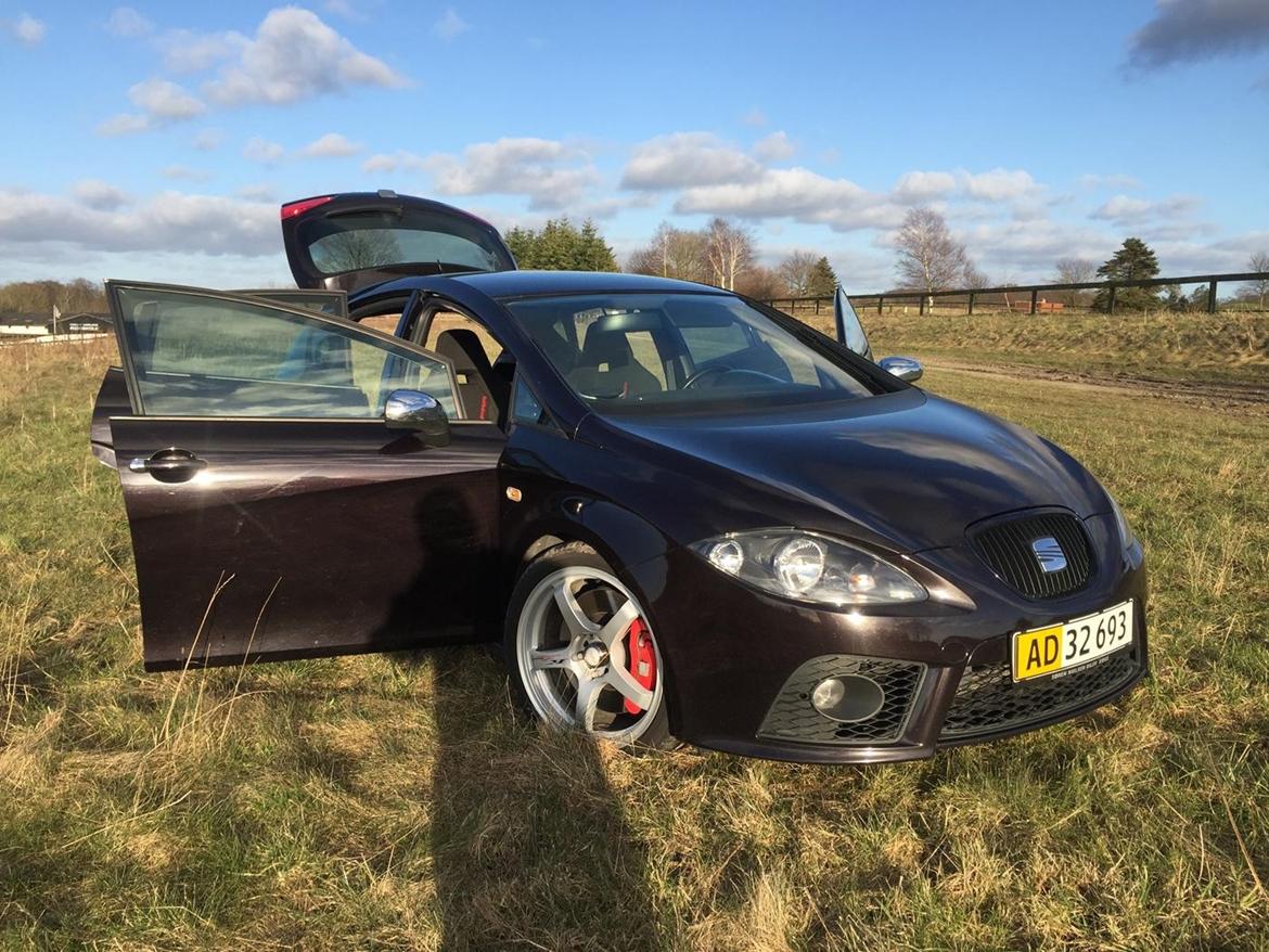 Seat Leon Cupra billede 1