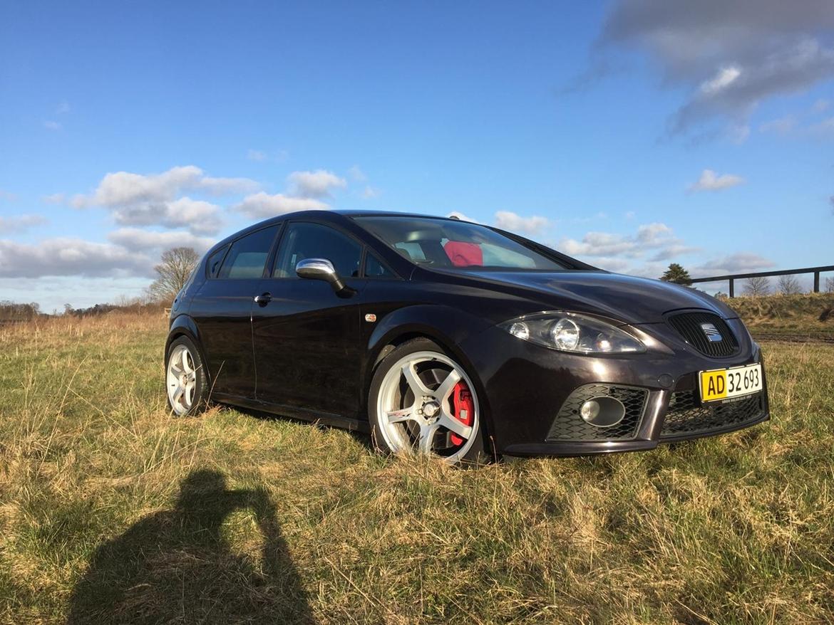 Seat Leon Cupra billede 3