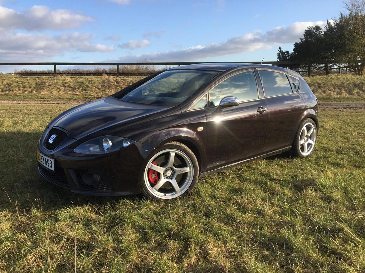 Seat Leon Cupra billede 10