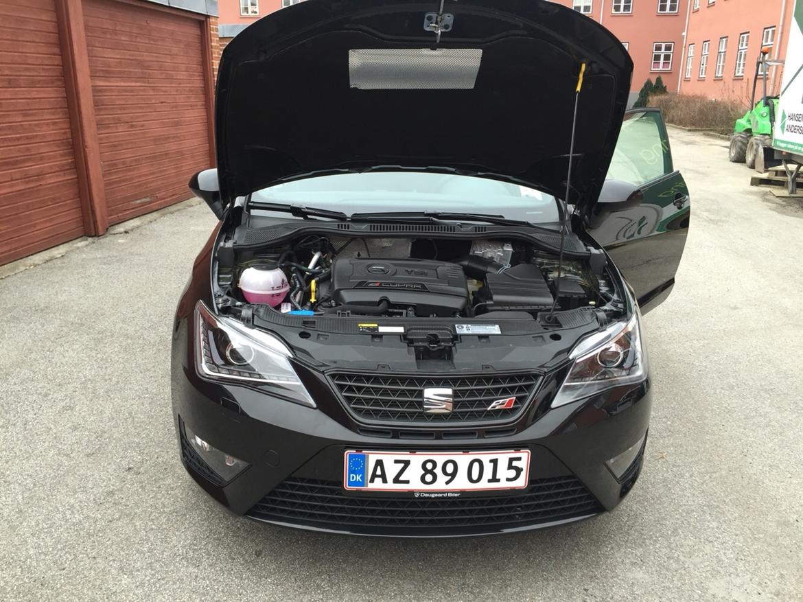 Seat Ibiza Cupra billede 12