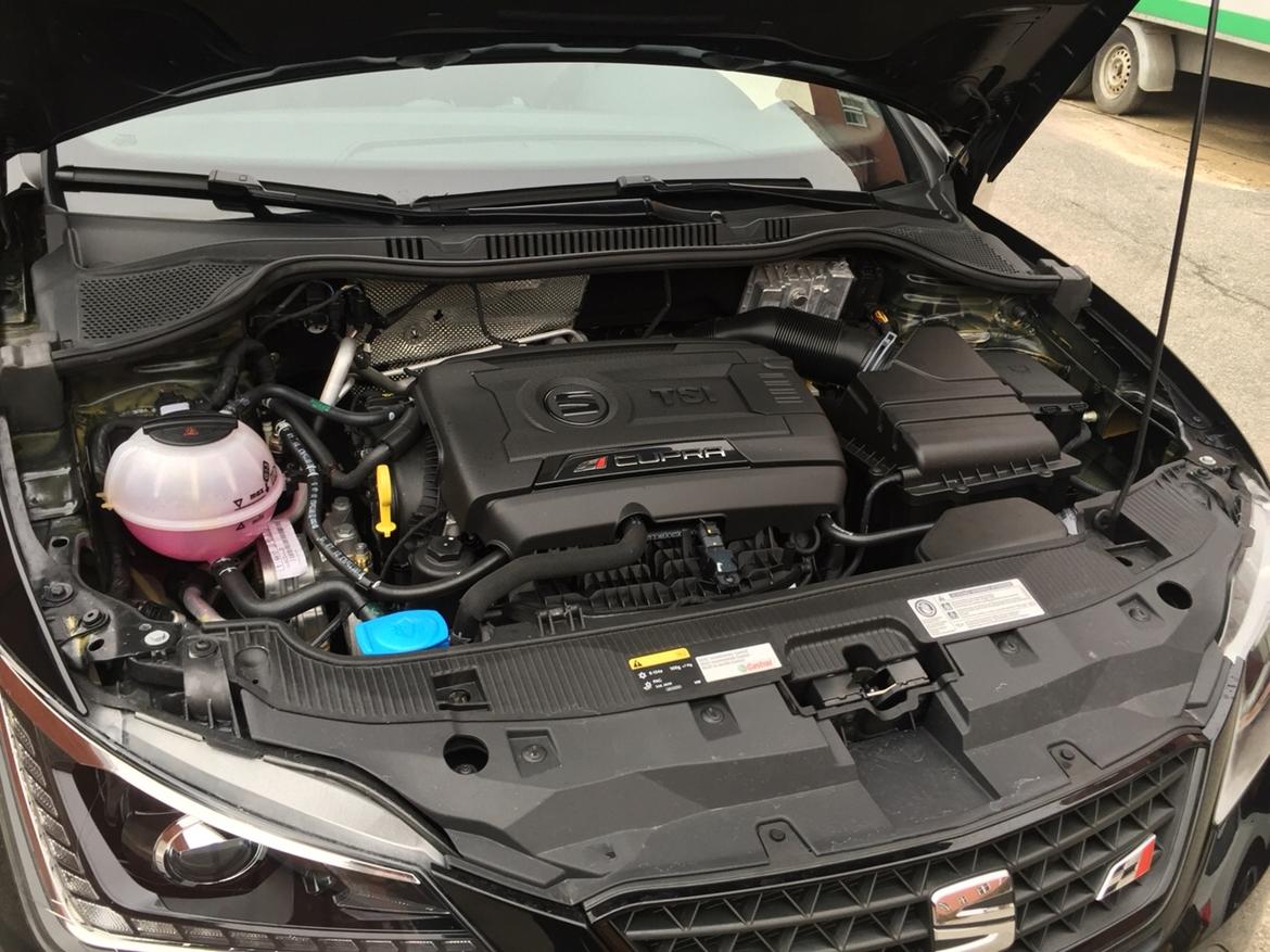 Seat Ibiza Cupra billede 14