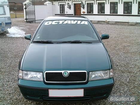 Skoda Octavia --Solgt-- - Set forfra, blir dejligt, når den får snuden lidt ned billede 1