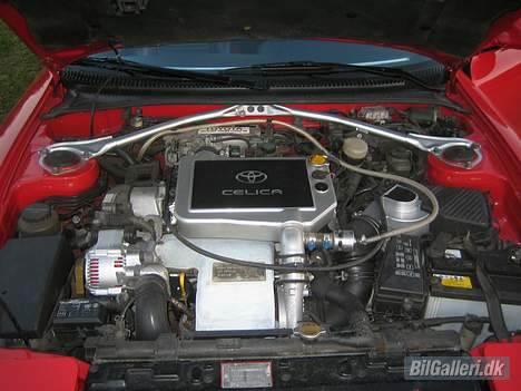 Toyota Toyota Carlos Sainz  billede 6