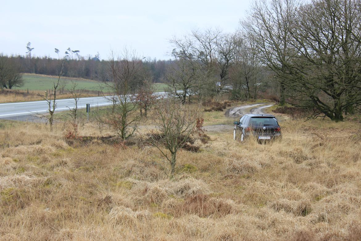 VW Golf V GT Sport [solgt] billede 6