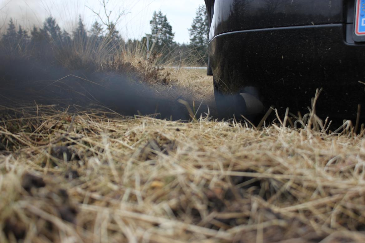 VW Golf V GT Sport [solgt] billede 7