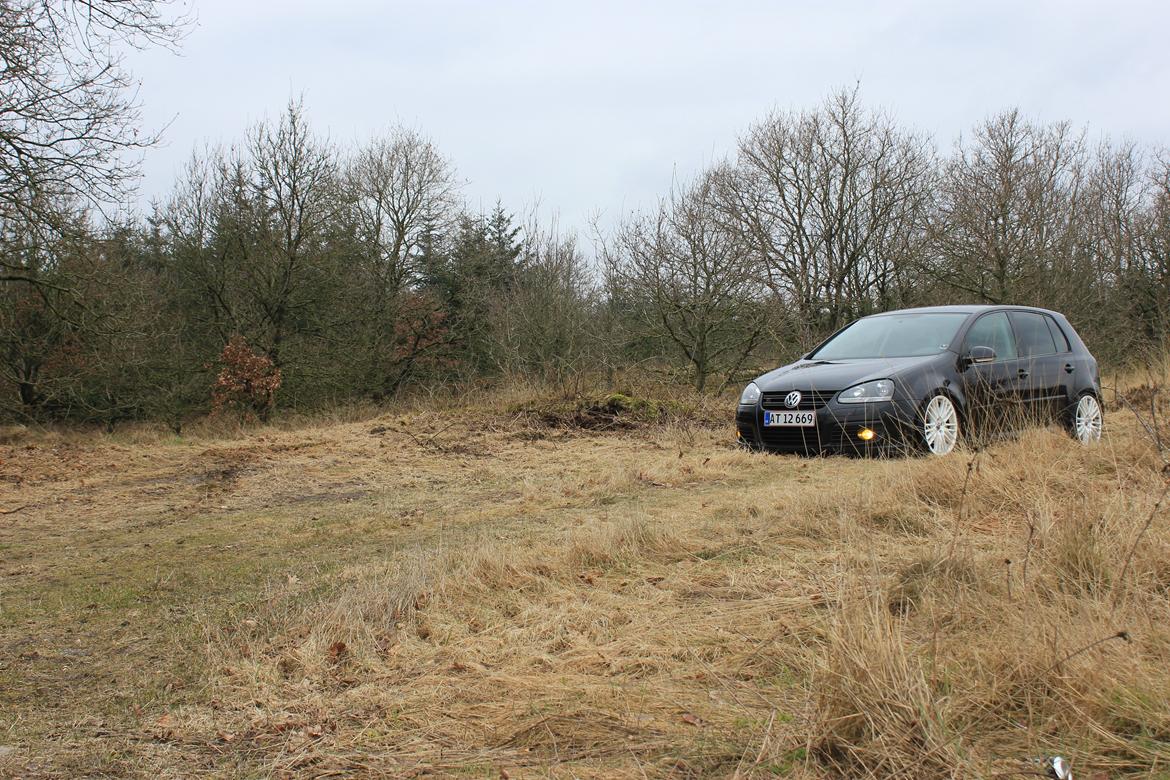 VW Golf V GT Sport [solgt] billede 5