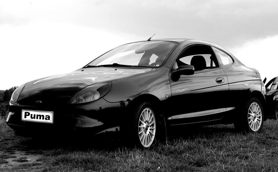 Ford puma 1 4 l #6