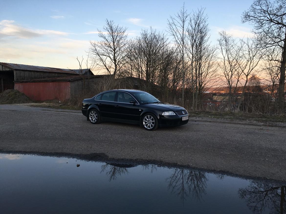 VW passat 3bg billede 1
