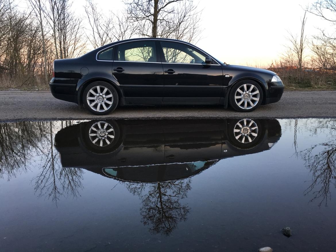 VW passat 3bg billede 5