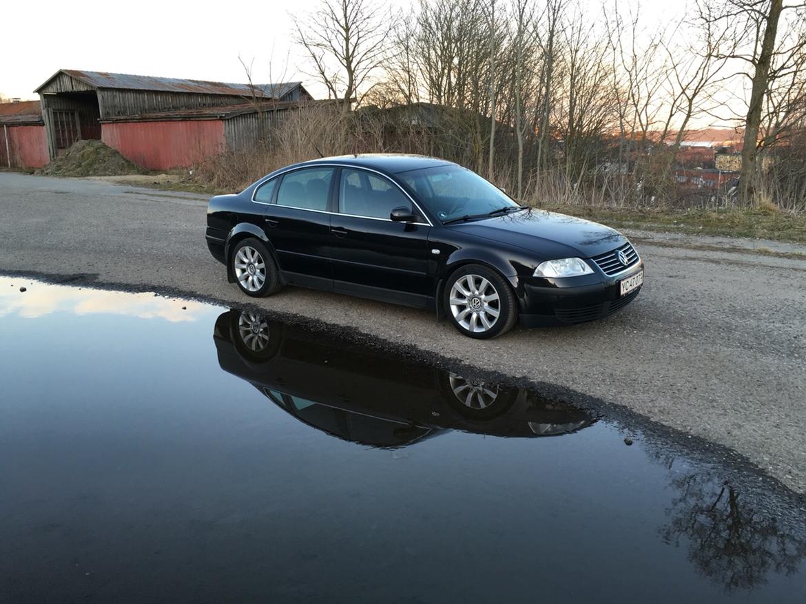 VW passat 3bg billede 6