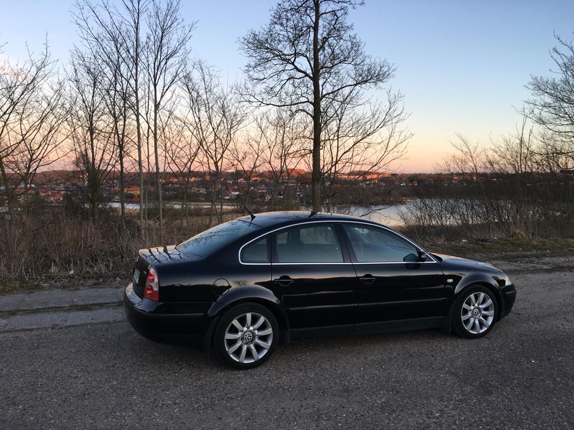 VW passat 3bg billede 17