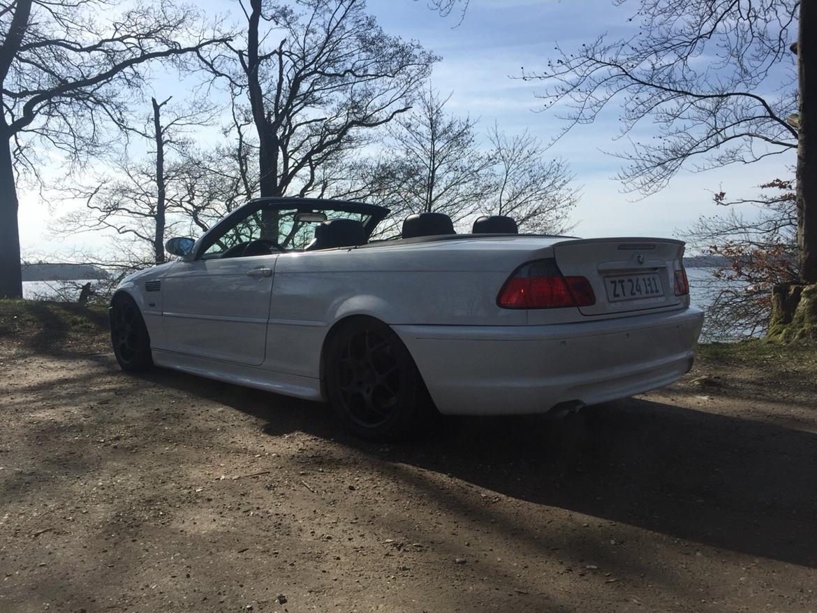 BMW E46 330 cabriolet billede 23