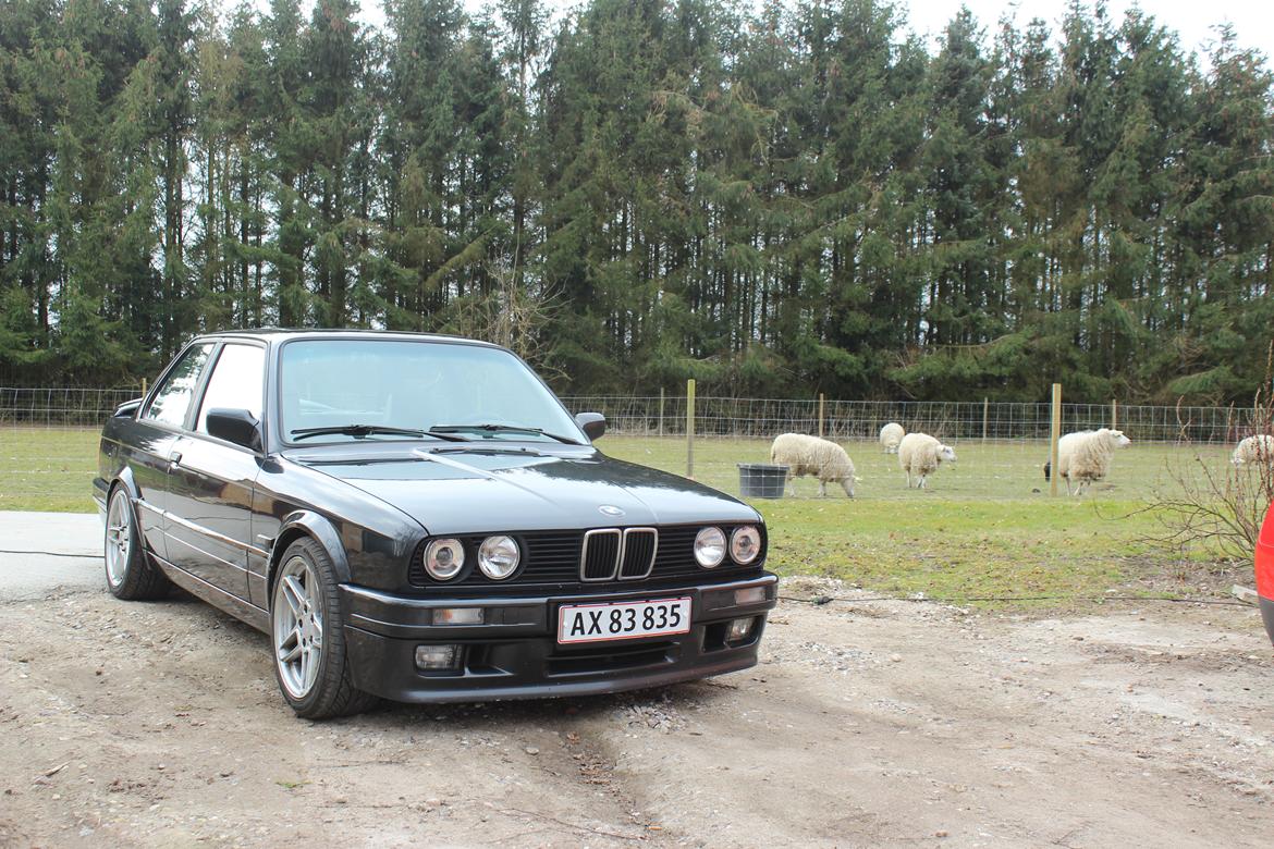 BMW E30 M-Tech 2 325i/328i billede 15