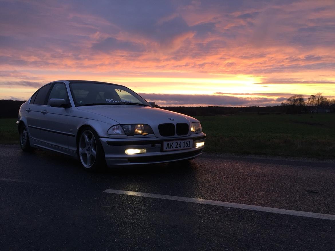 BMW E46 320i billede 14