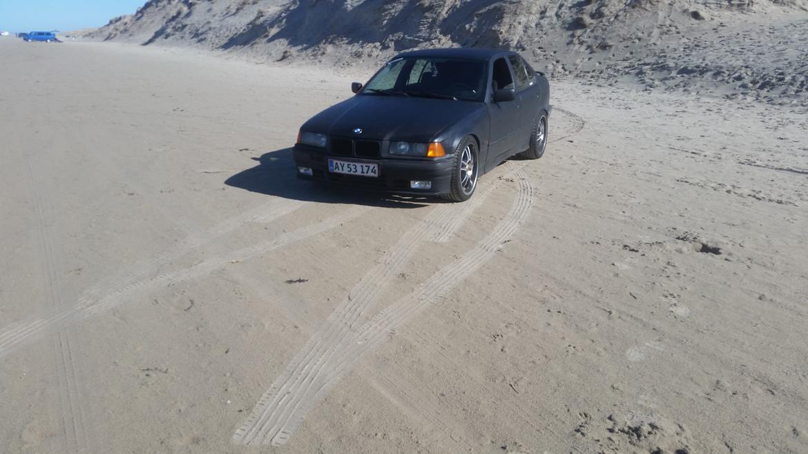 BMW E36 316I billede 1