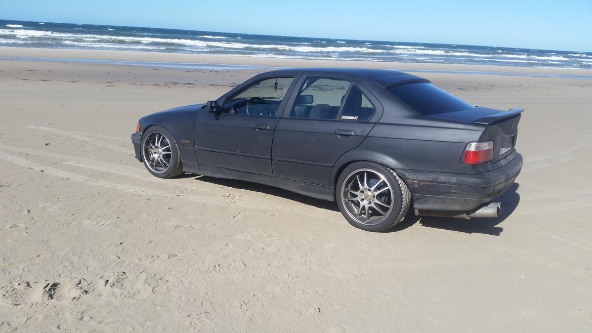 BMW E36 316I billede 2