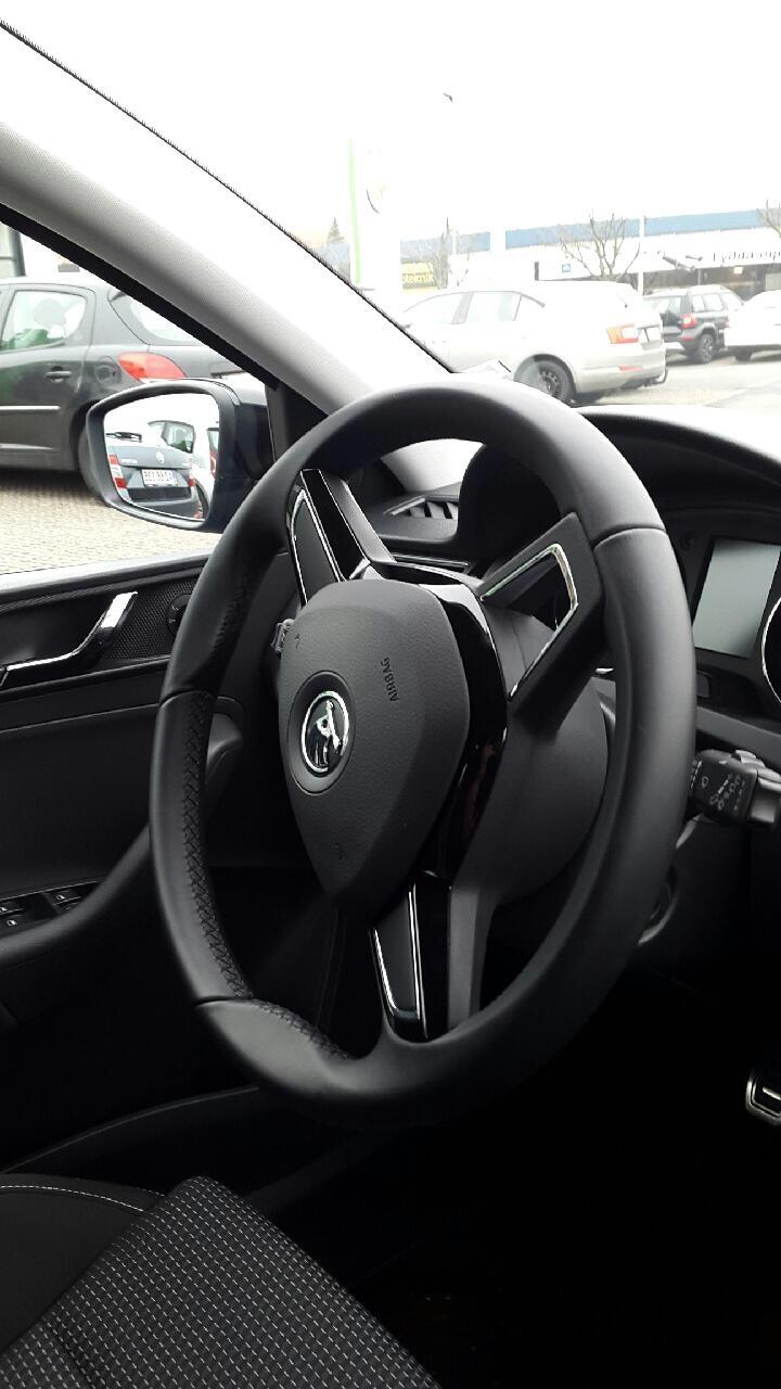 Skoda Rapid spacebag billede 8