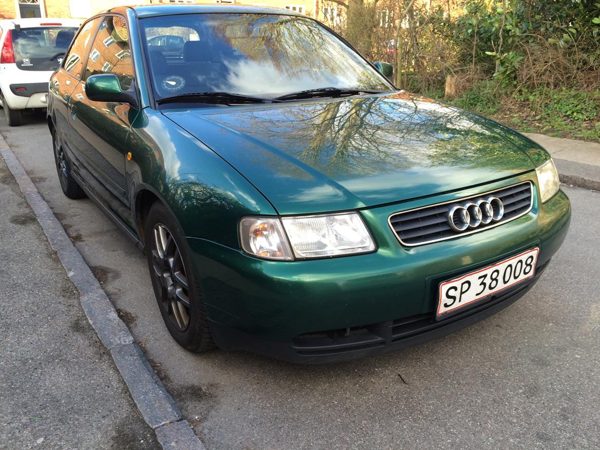 Audi A3  8L ( Tidl Bil ) billede 1