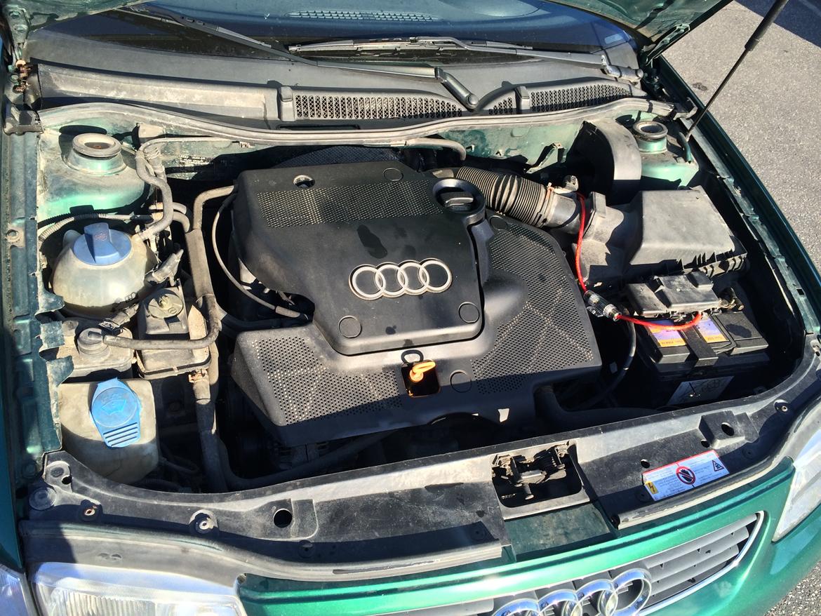 Audi A3  8L ( Tidl Bil ) billede 3