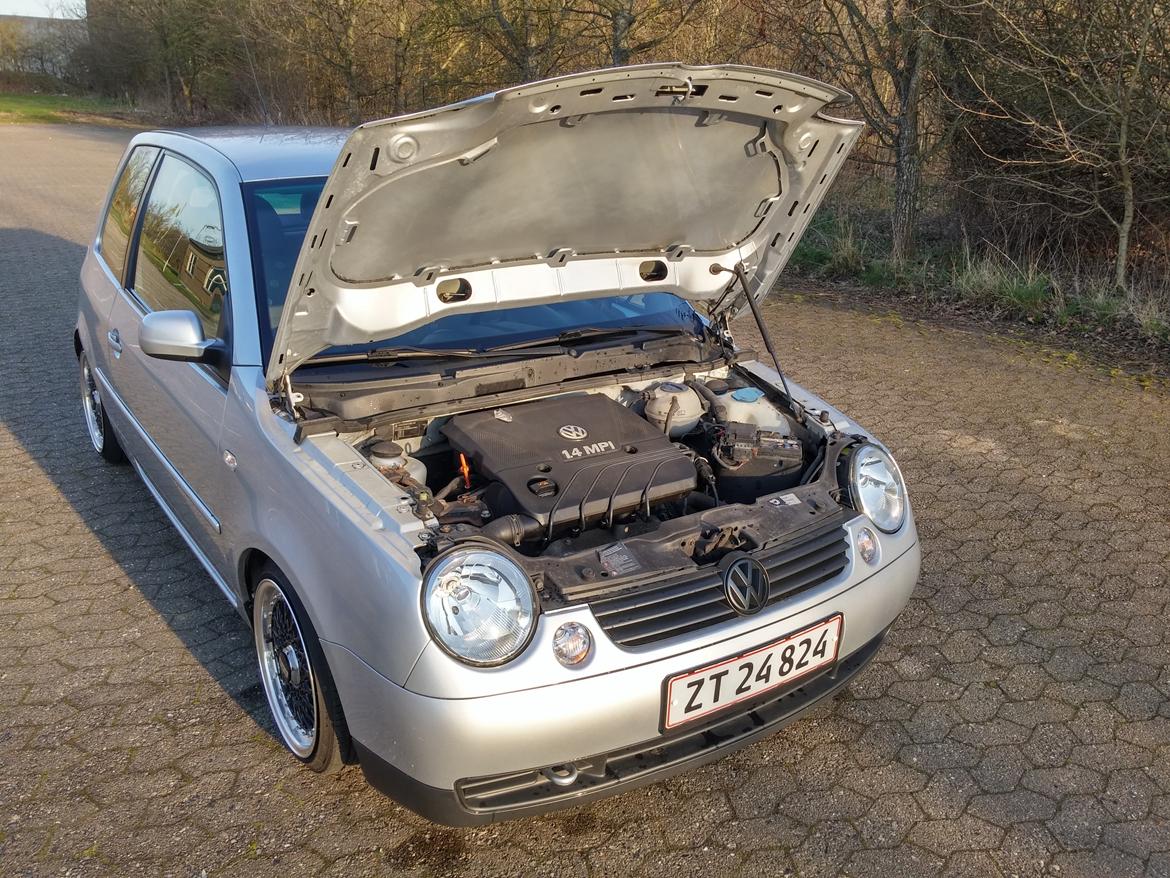 VW Lupo 1.4 billede 11