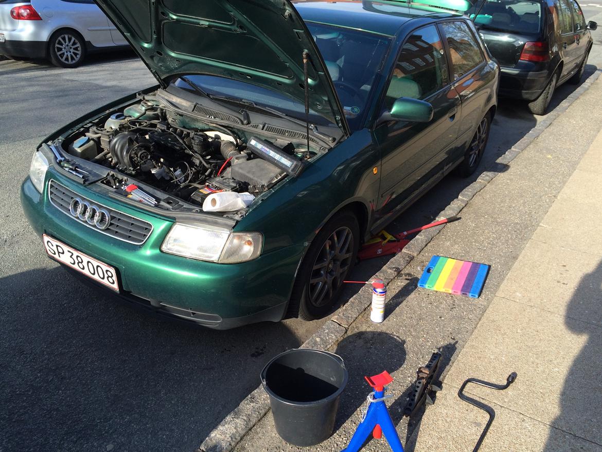 Audi A3  8L ( Tidl Bil ) billede 10