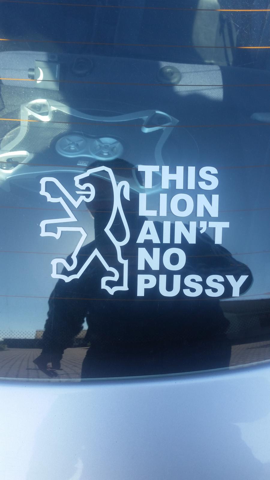 Peugeot 206 1,9 D billede 5