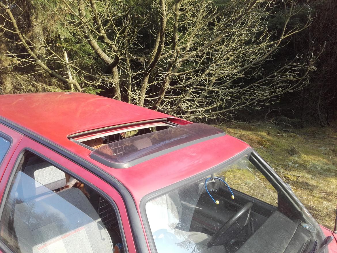 VW Golf II TD billede 14