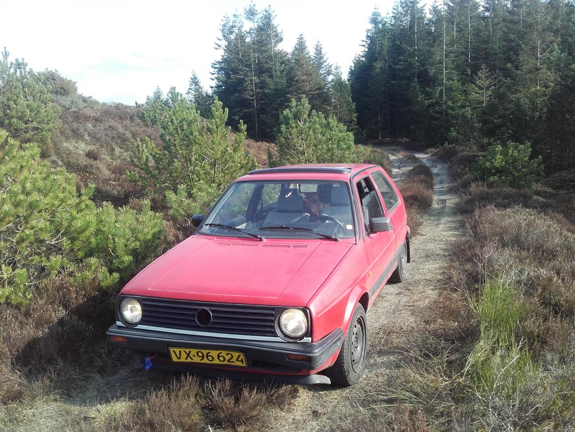 VW Golf II TD billede 7
