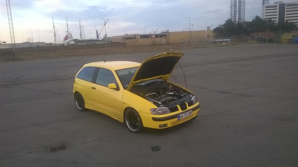 Seat ibiza Cupra / Fr billede 22