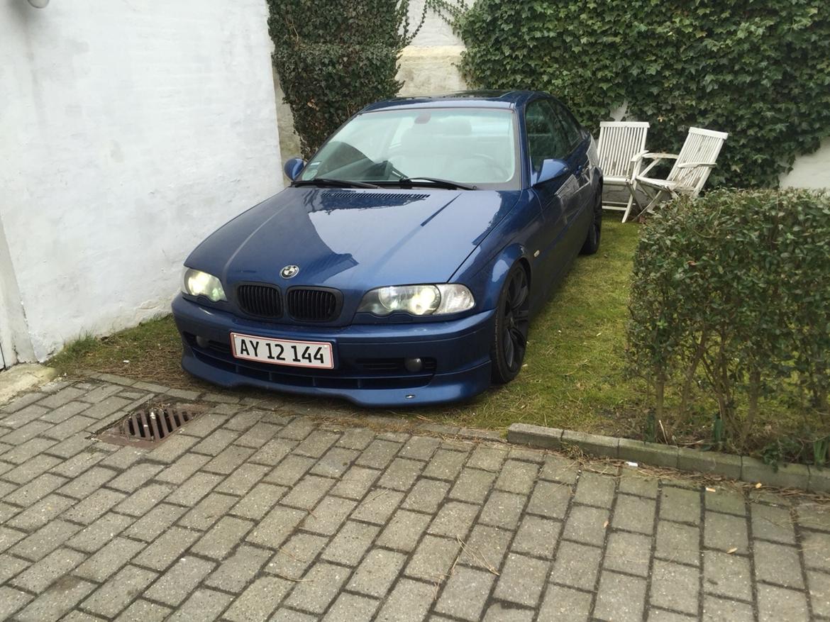 BMW E46 (SOLGT) billede 7