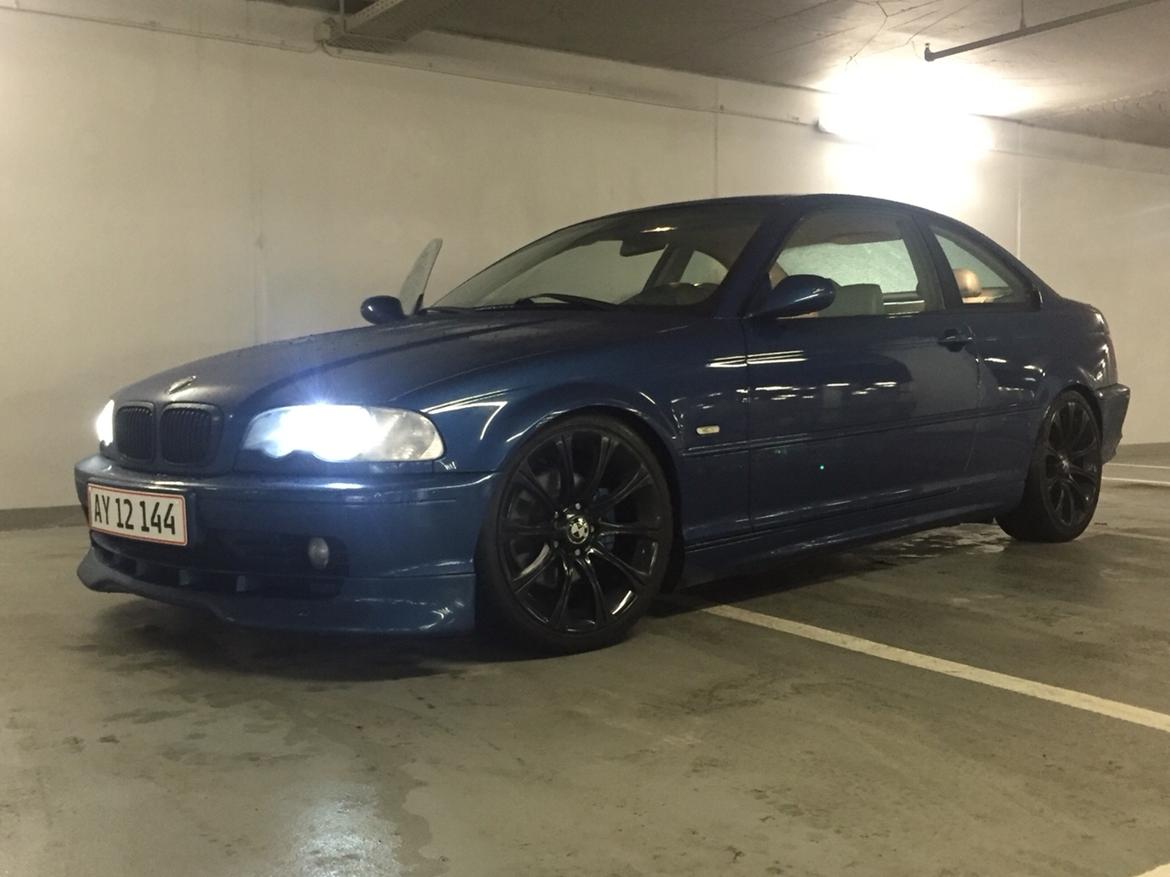 BMW E46 (SOLGT) billede 12