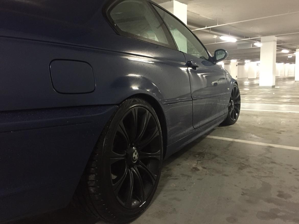 BMW E46 (SOLGT) billede 13